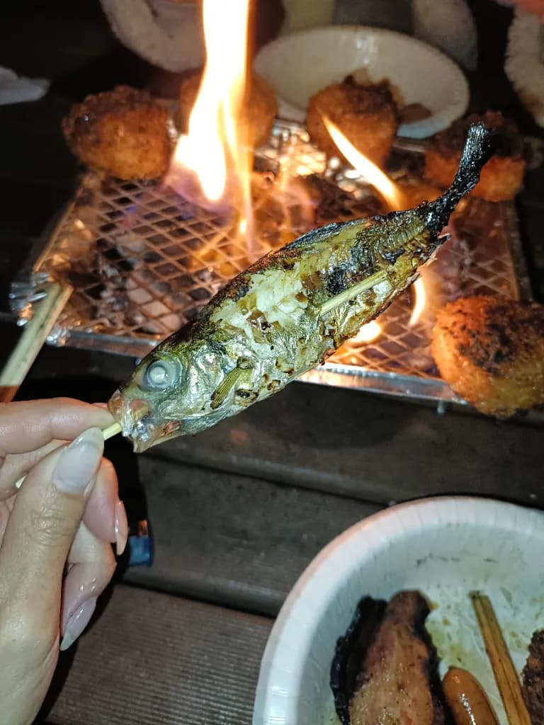 Elen's diary image 16/16