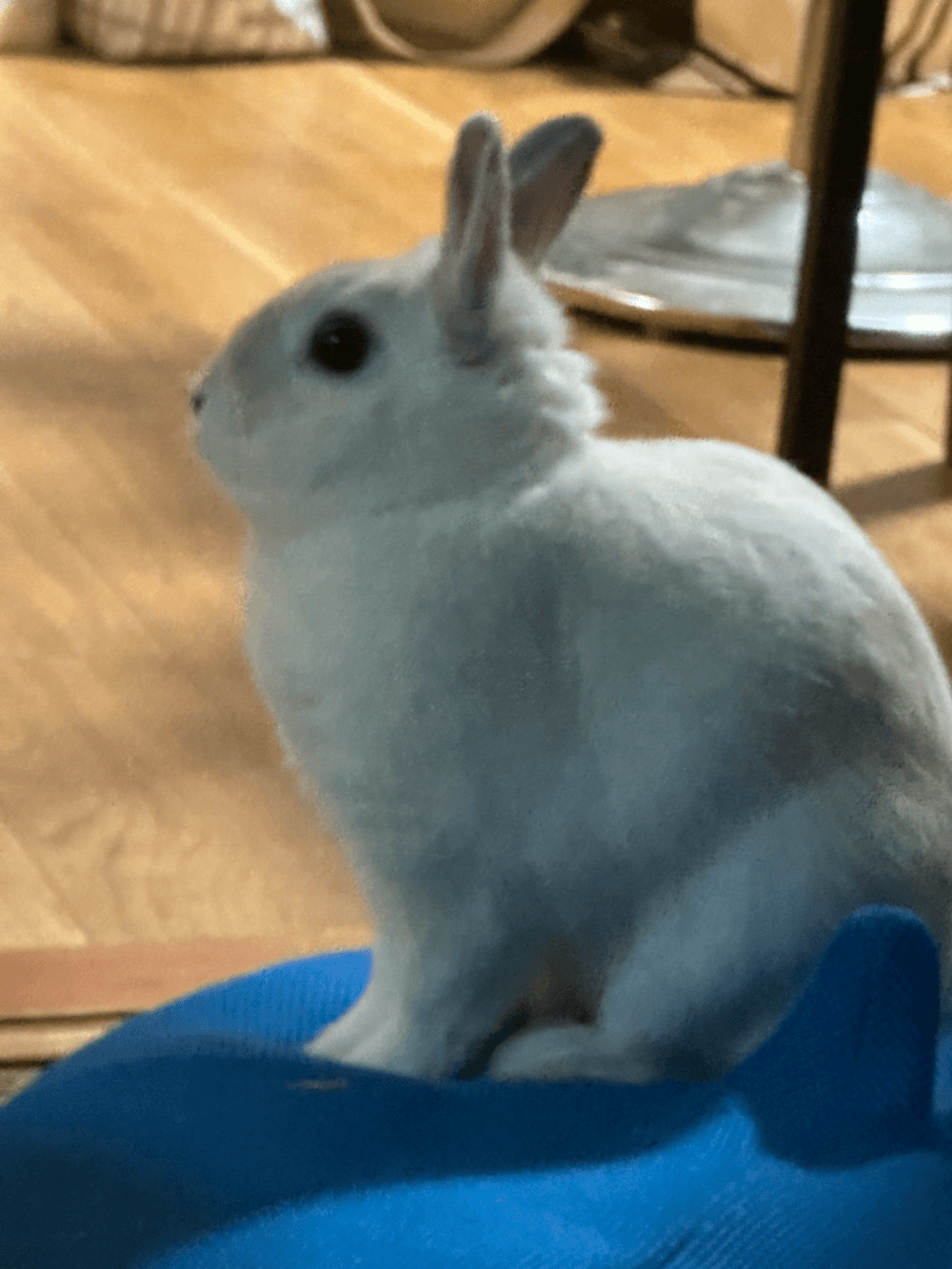 しゅういちの写メ日記画像 2/4