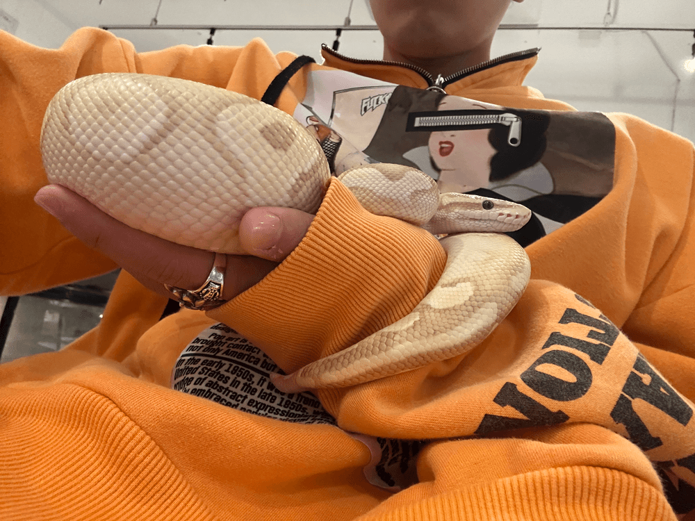 しゅういちの写メ日記画像 1/4